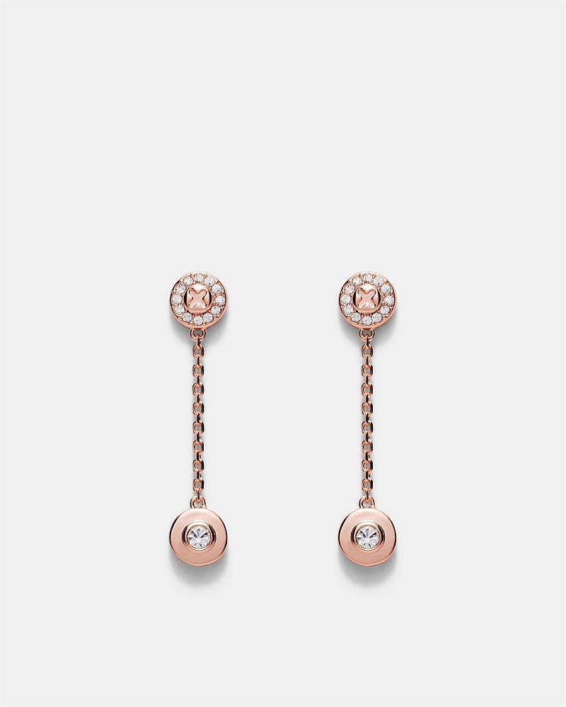 Glitters Drop Earrings