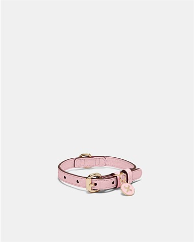 Pooch Small Collar