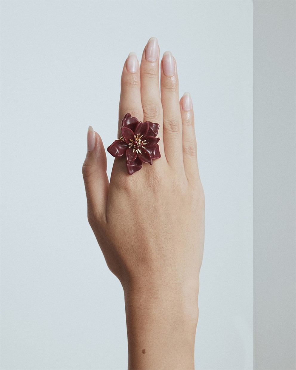 Vienne Ring